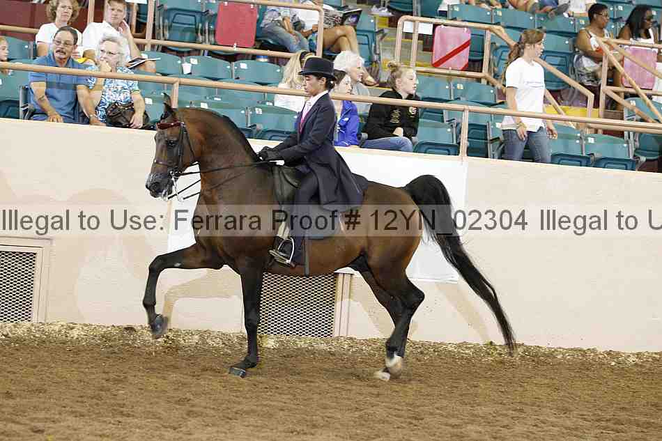 Proof 12yn_02304