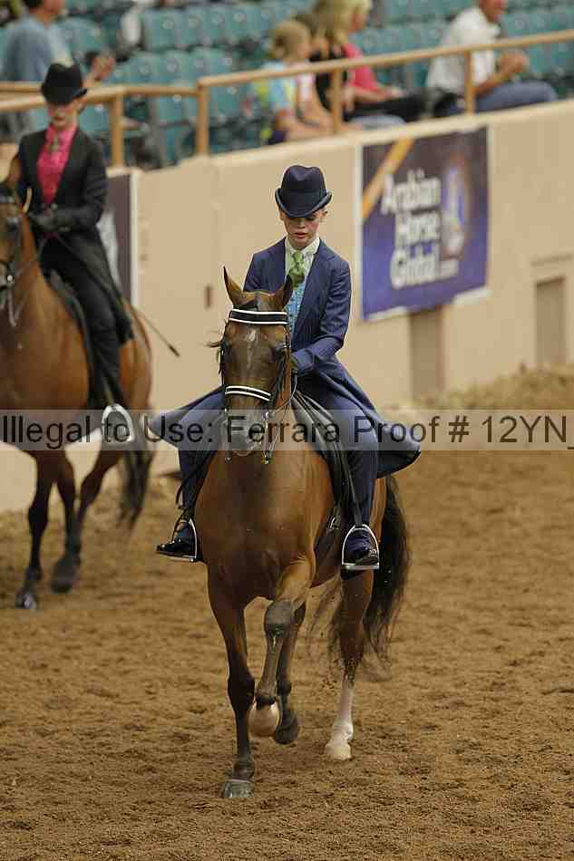 Proof 12yn_02305