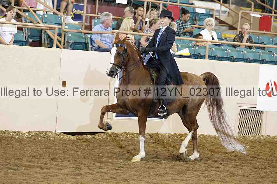 Proof 12yn_02307