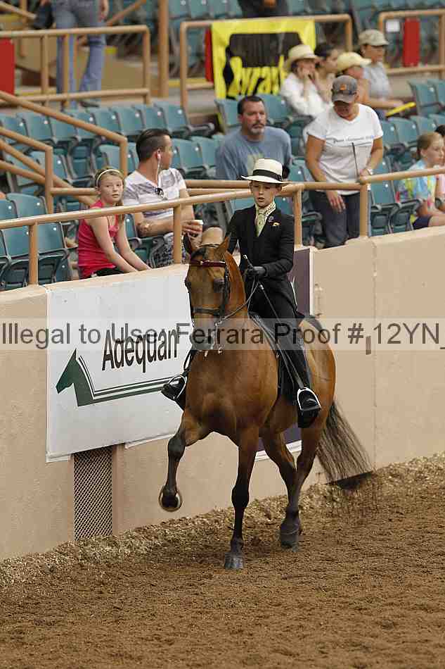 Proof 12yn_02308