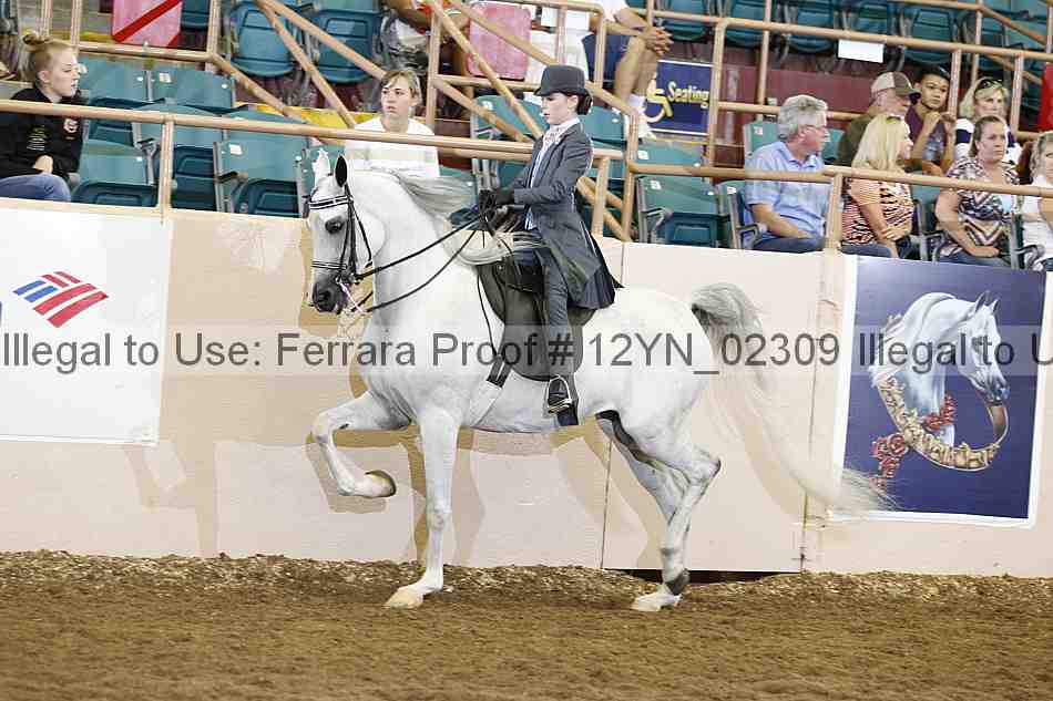 Proof 12yn_02309