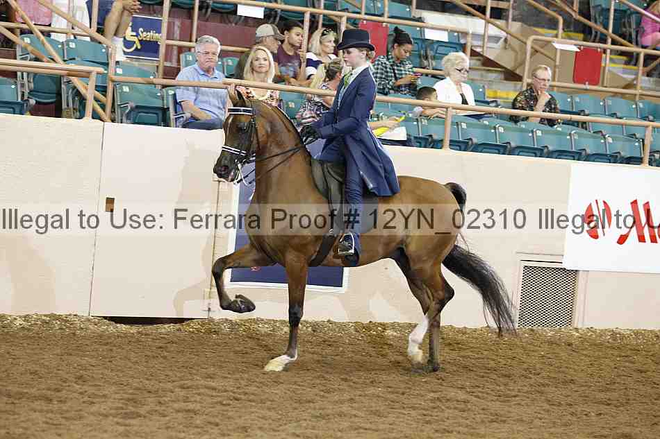 Proof 12yn_02310