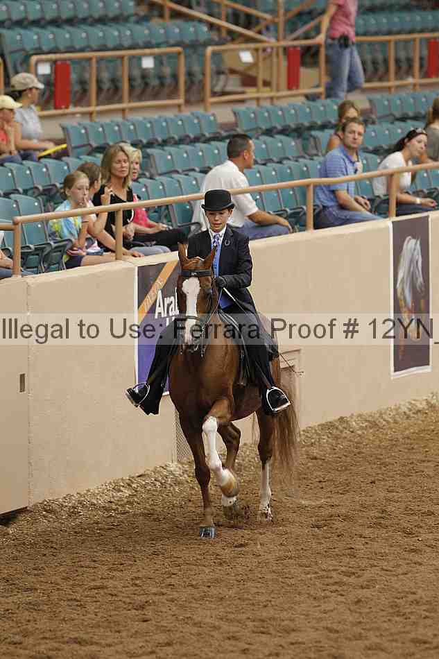 Proof 12yn_02312