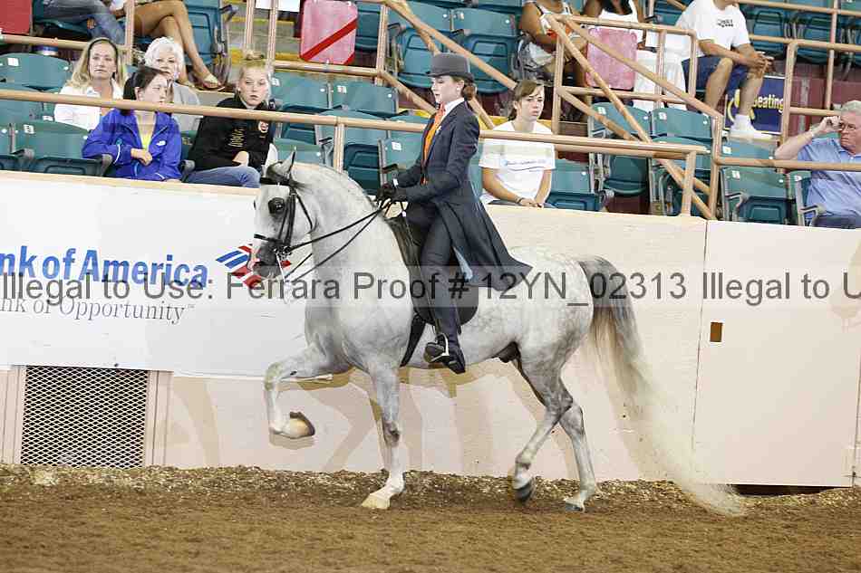 Proof 12yn_02313