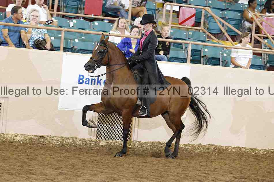Proof 12yn_02314