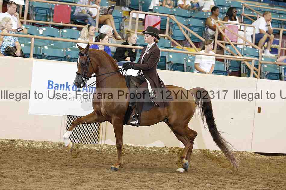 Proof 12yn_02317
