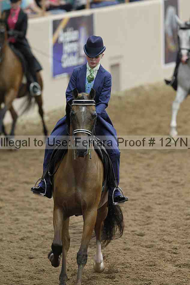 Proof 12yn_02321