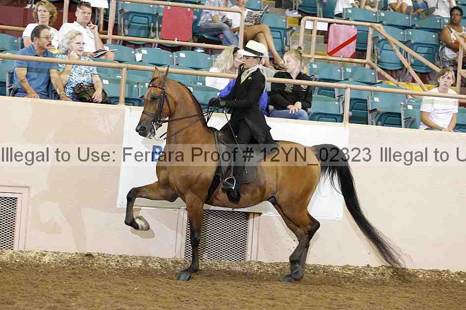 Proof 12yn_02323
