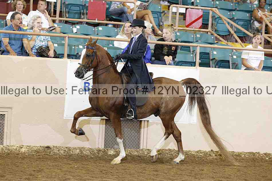 Proof 12yn_02327