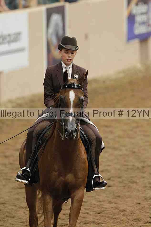 Proof 12yn_02328
