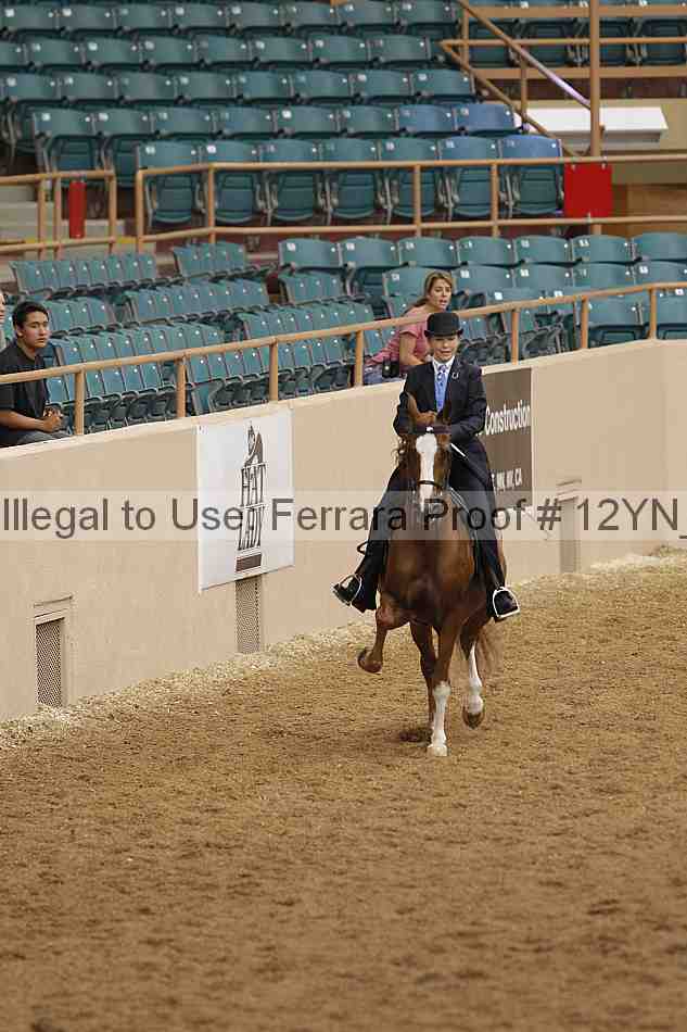 Proof 12yn_02329