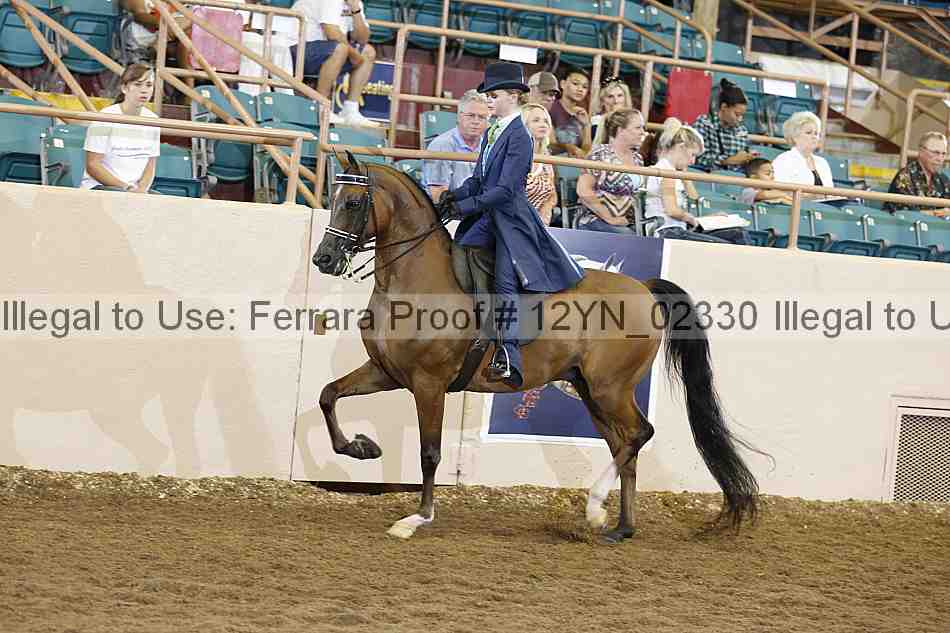 Proof 12yn_02330