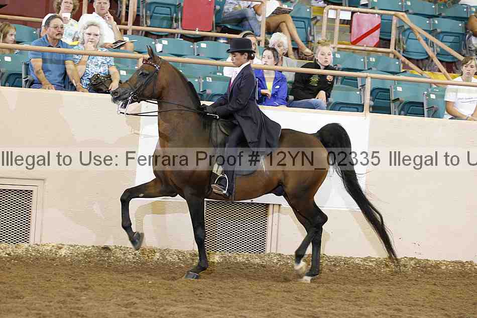 Proof 12yn_02335