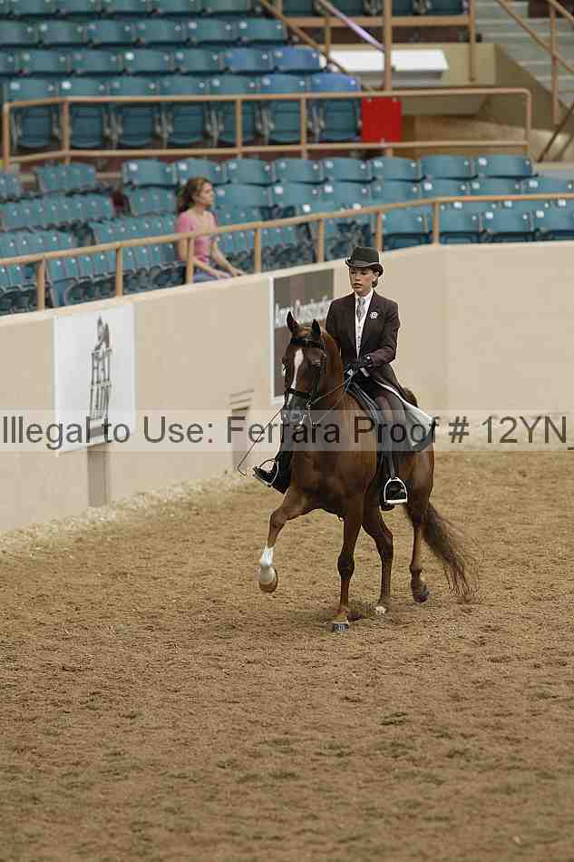 Proof 12yn_02336
