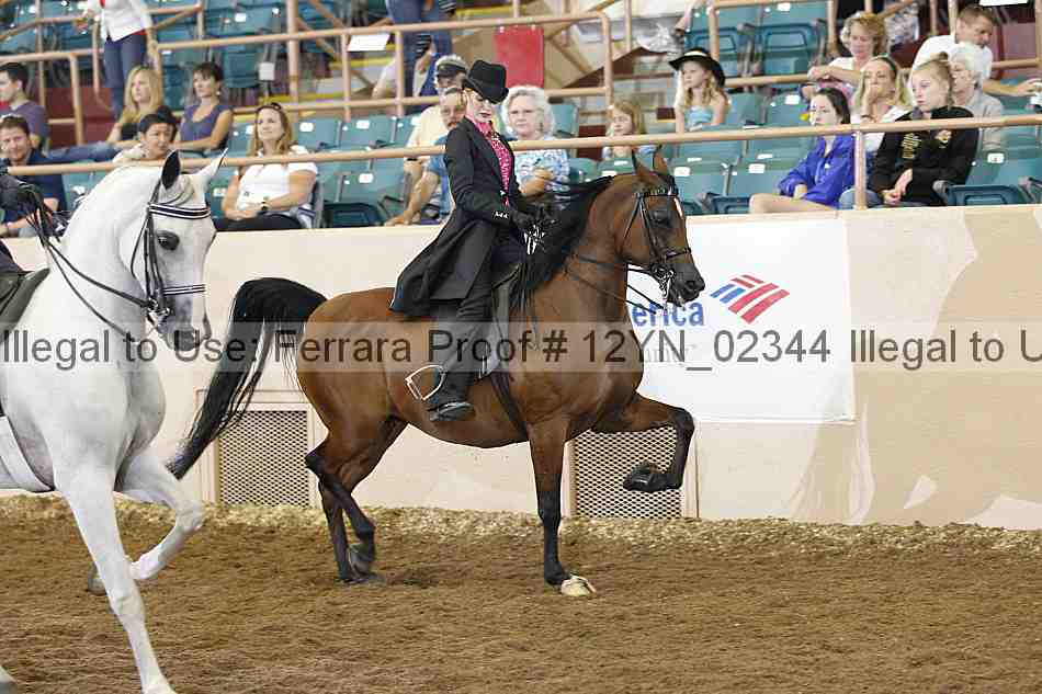 Proof 12yn_02344