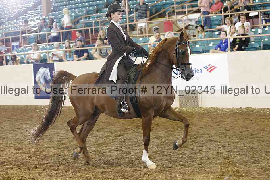 Proof 12yn_02345