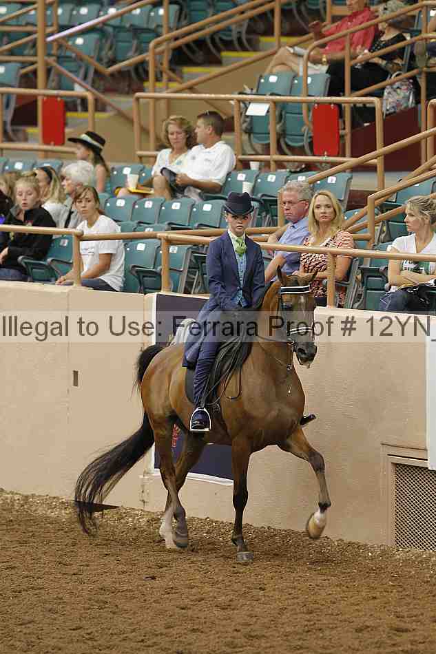 Proof 12yn_02348