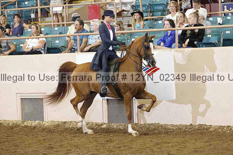 Proof 12yn_02349