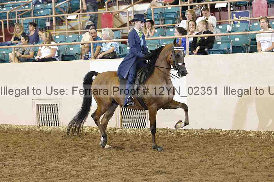 Proof 12yn_02351