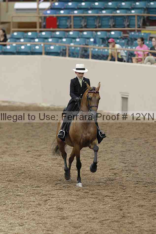 Proof 12yn_02352