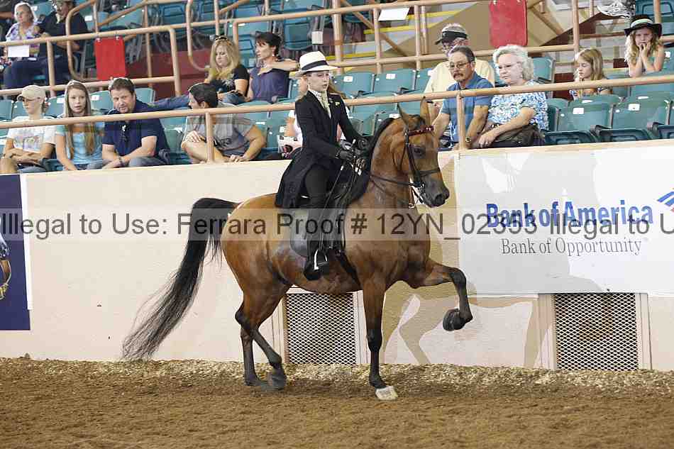 Proof 12yn_02353