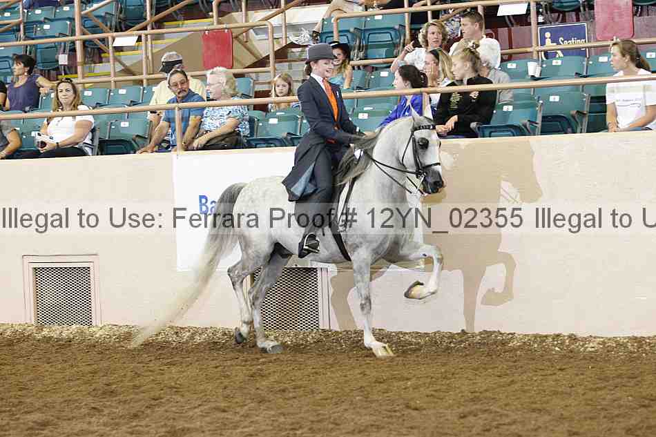Proof 12yn_02355