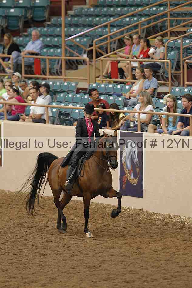 Proof 12yn_02356