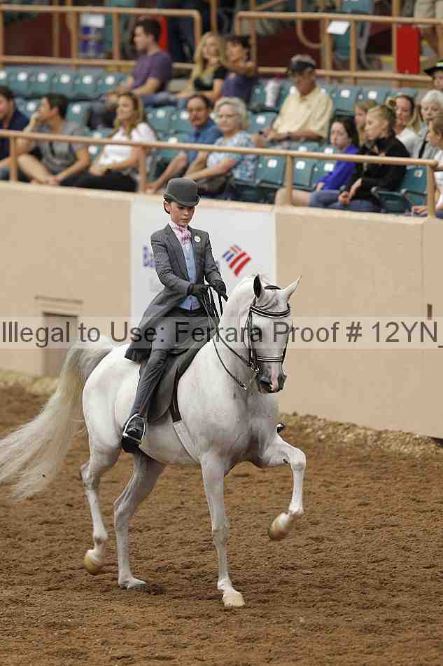 Proof 12yn_02357