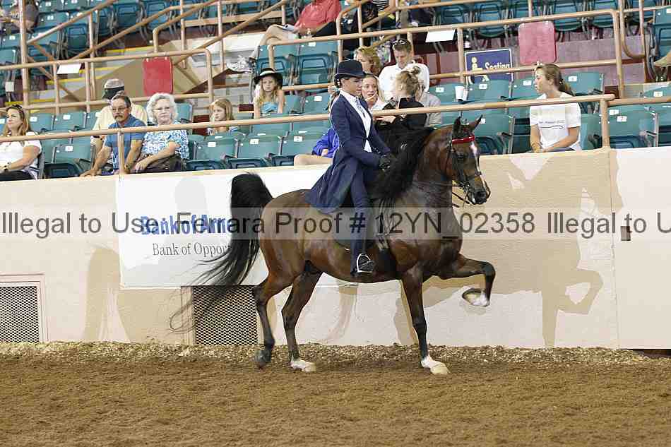 Proof 12yn_02358