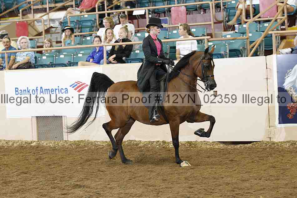 Proof 12yn_02359