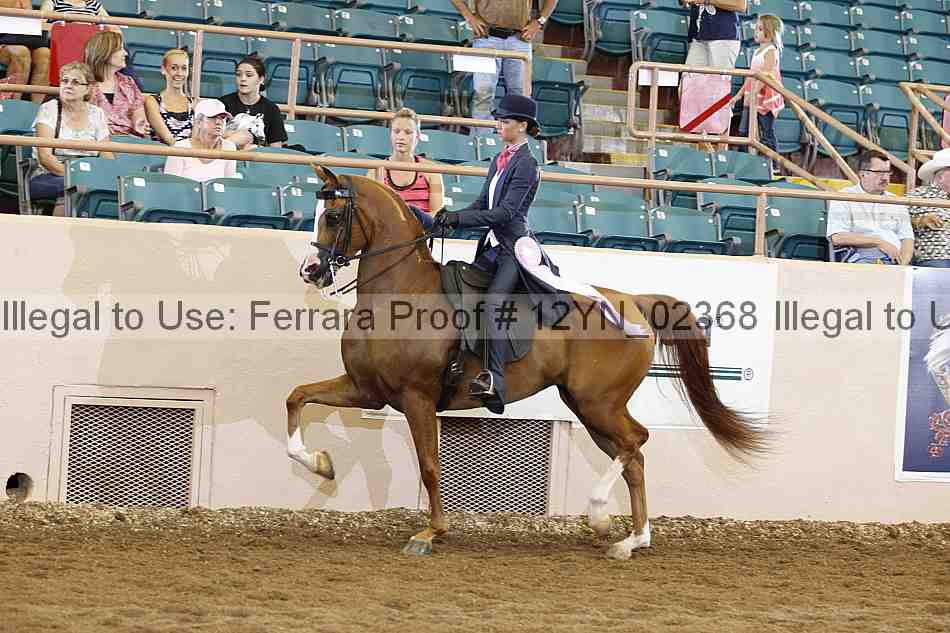 Proof 12yn_02368