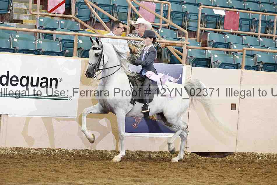 Proof 12yn_02371