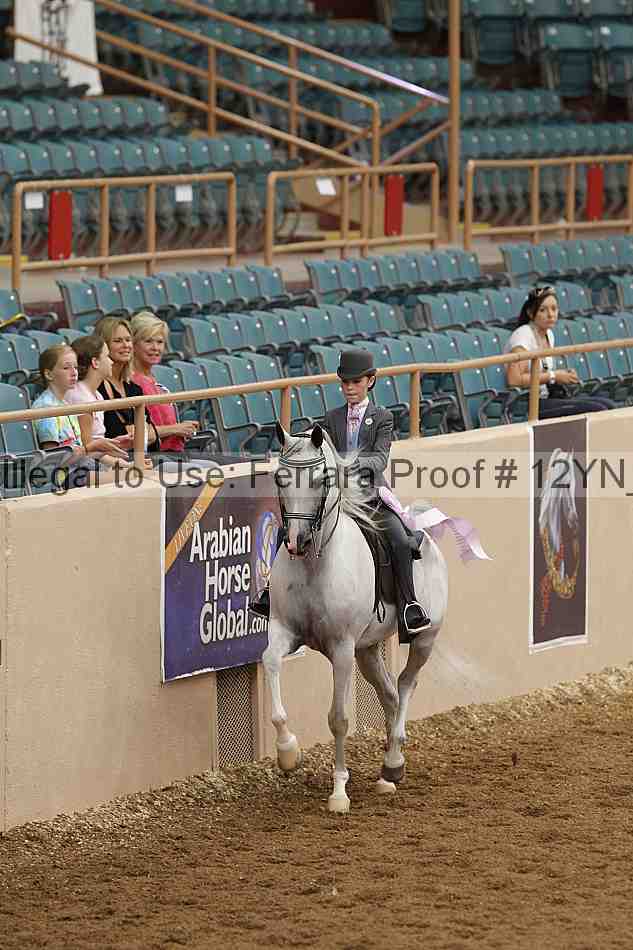 Proof 12yn_02377