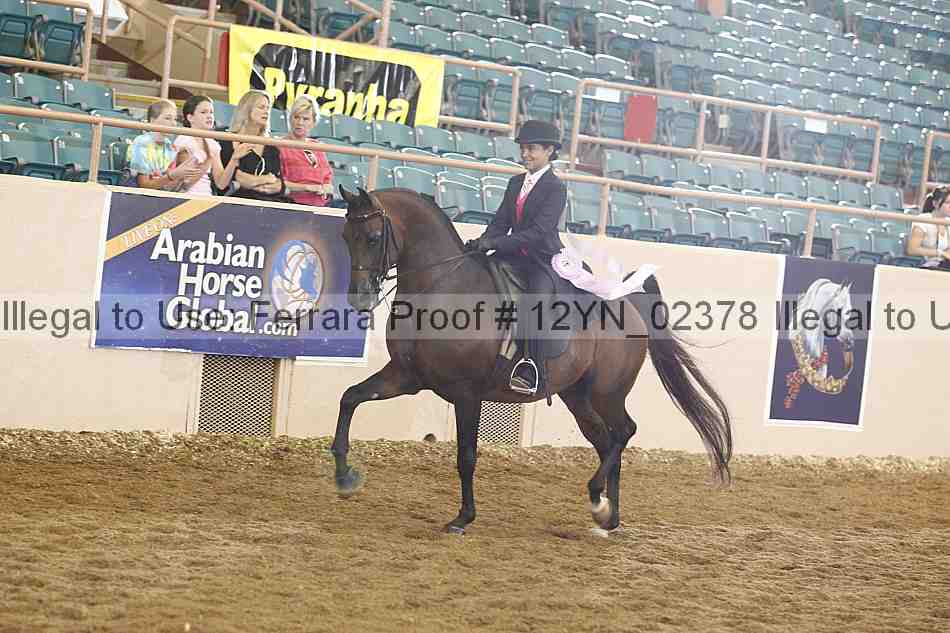 Proof 12yn_02378