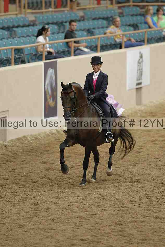 Proof 12yn_02383