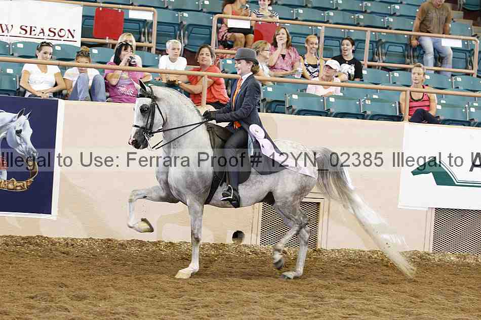 Proof 12yn_02385