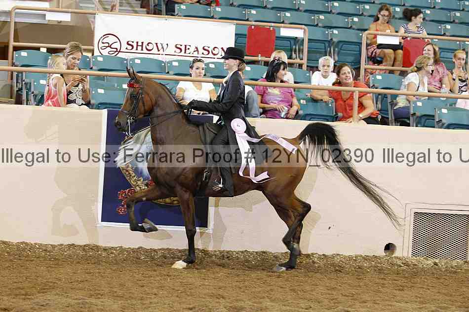 Proof 12yn_02390
