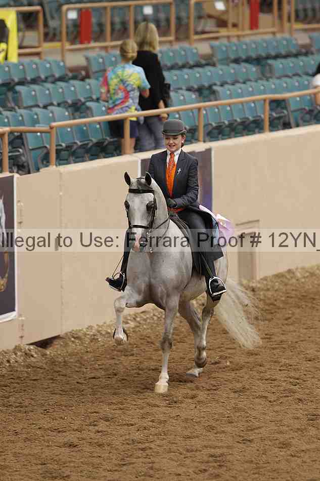 Proof 12yn_02391