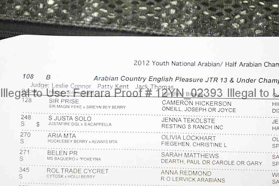 Proof 12yn_02393