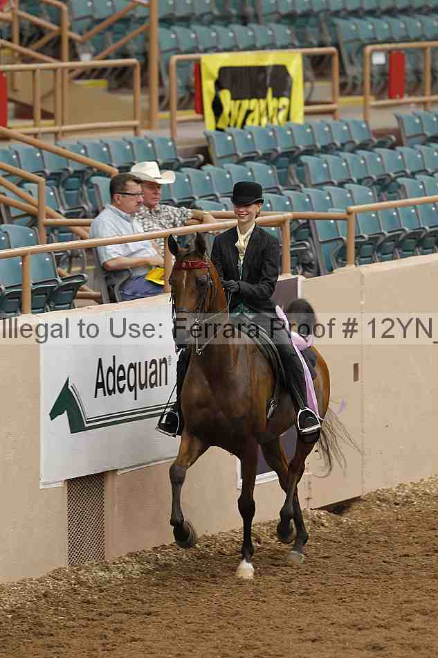 Proof 12yn_02395