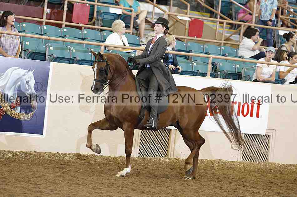 Proof 12yn_02397