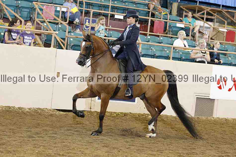 Proof 12yn_02399