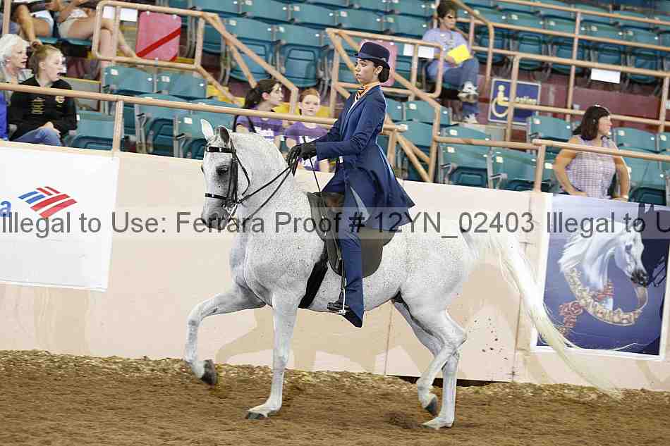 Proof 12yn_02403