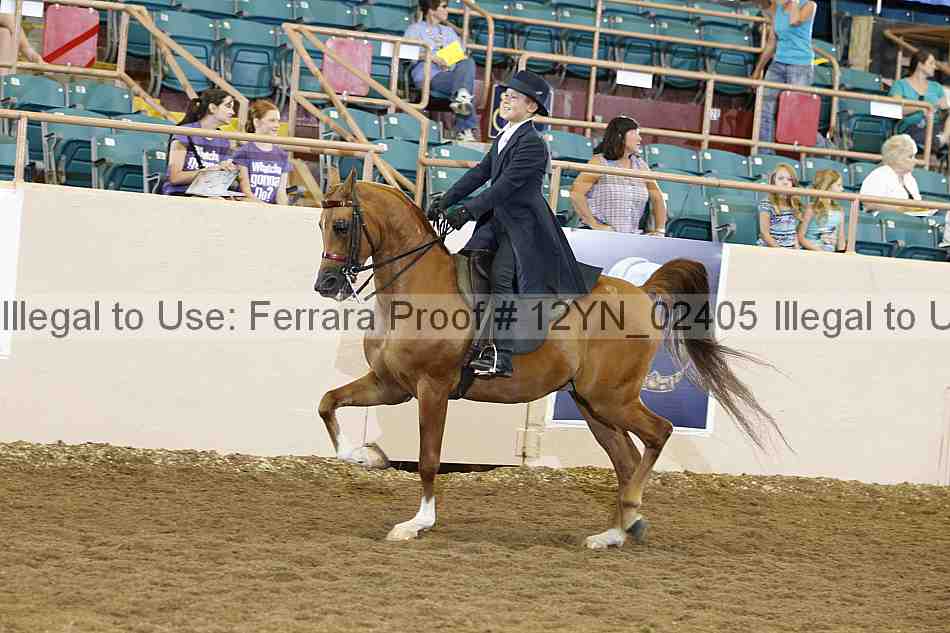 Proof 12yn_02405