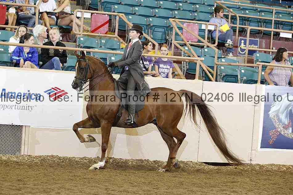 Proof 12yn_02406
