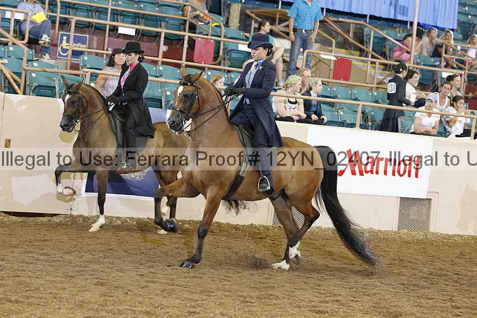 Proof 12yn_02407