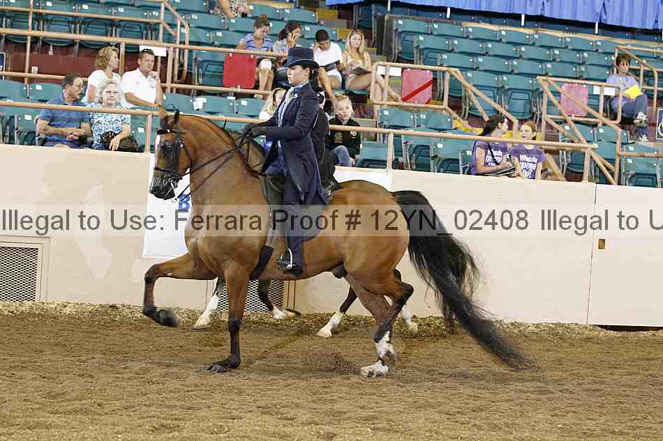 Proof 12yn_02408