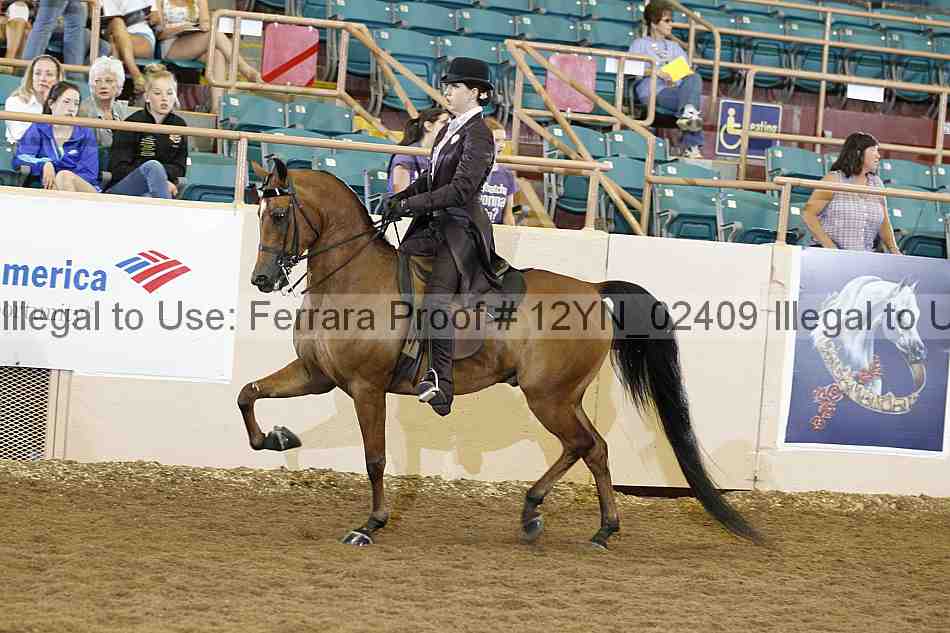 Proof 12yn_02409