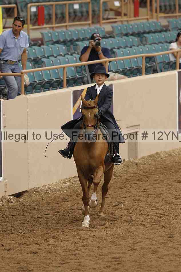 Proof 12yn_02411