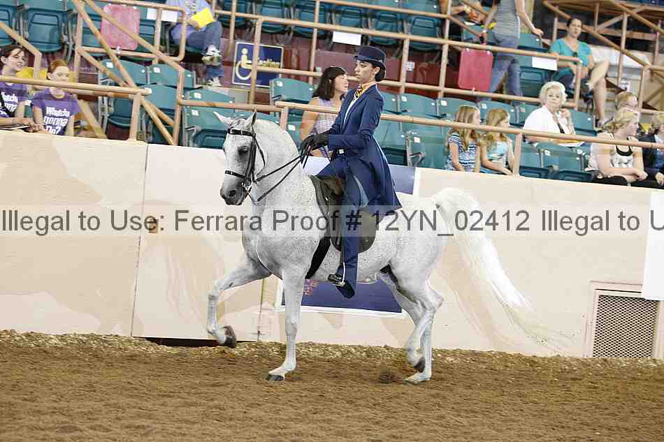 Proof 12yn_02412